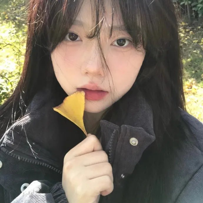 林中奇遇
